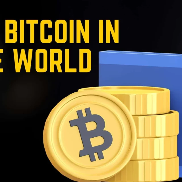 These Are the 5 Wallets with the Most Bitcoin in the World