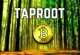 Demystifying Taproot A Comprehensive Guide to its Significance