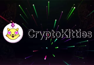 Here is a guide to building the CryptoKitty collection