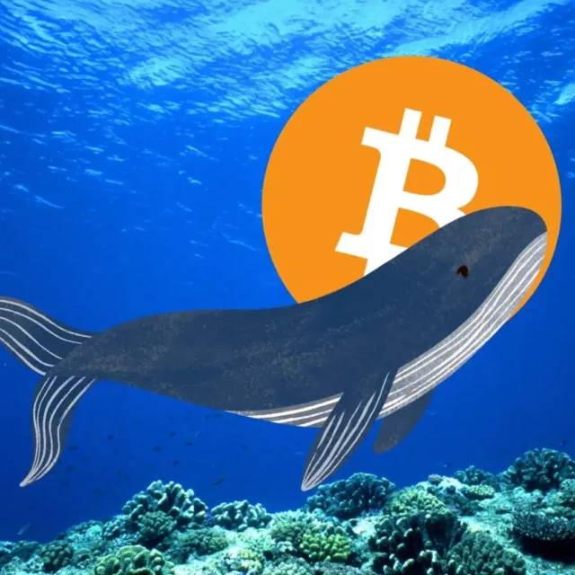 Unlocking Crypto Whales Your Path to Financial Success